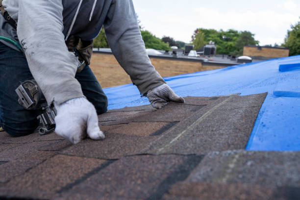 Best Tile Roofing Contractor  in Ortonville, MI