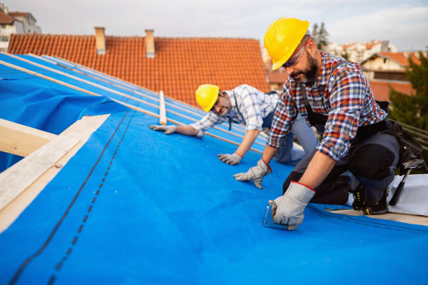 Best Roof Gutter Cleaning  in Ortonville, MI