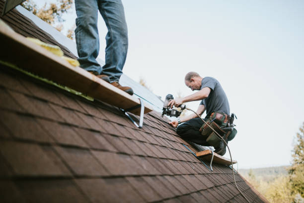 Best Metal Roofing Contractor  in Ortonville, MI