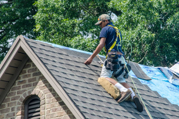 Best Emergency Roof Repair  in Ortonville, MI